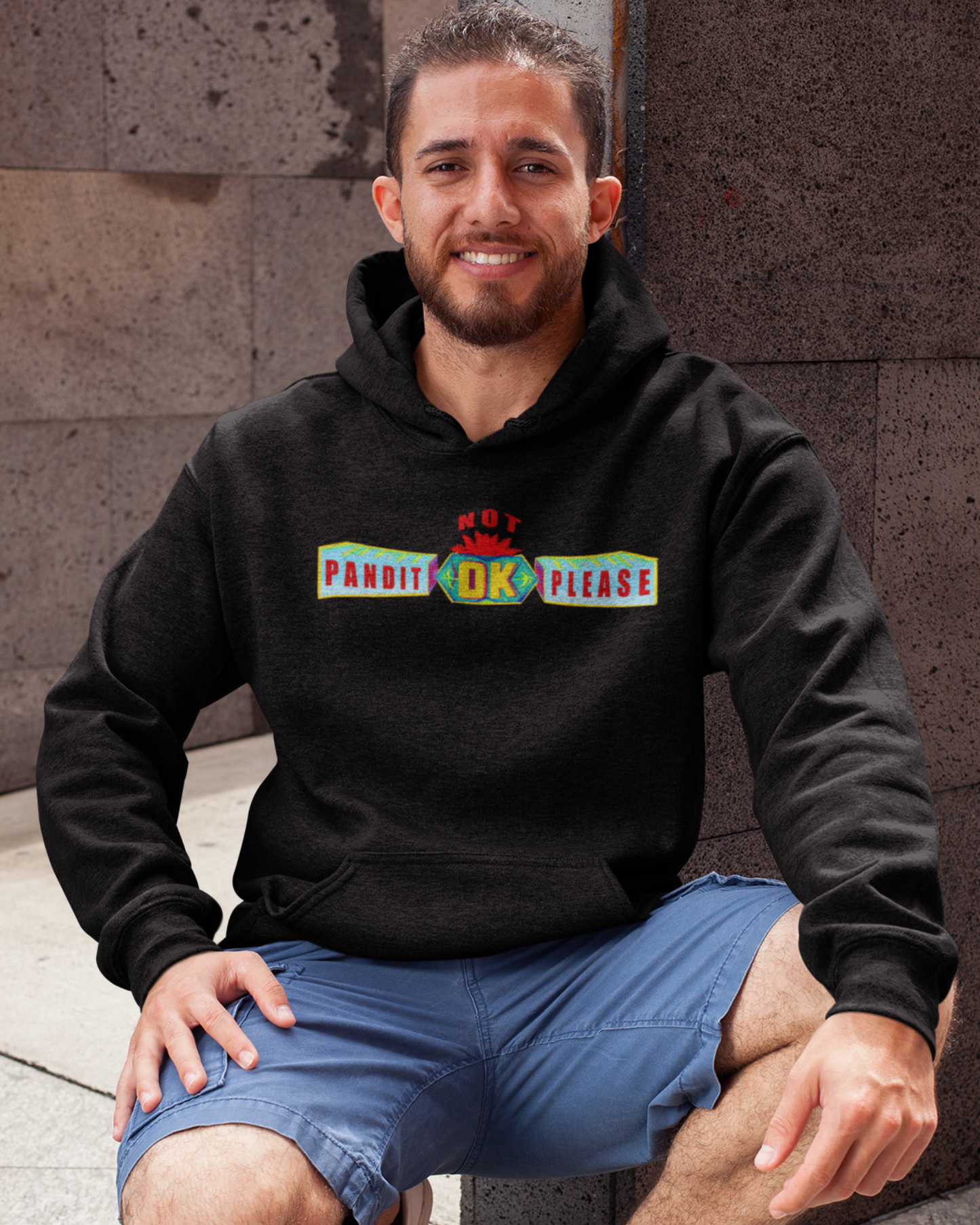 Pandit NOT OK please | Men's Hoodie
